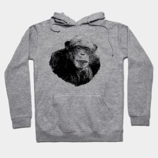 Chimpanzee Hoodie